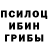 Галлюциногенные грибы Psilocybine cubensis nechto61