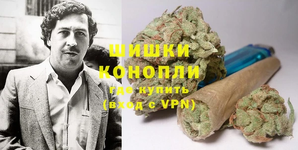 молекула духа Алзамай