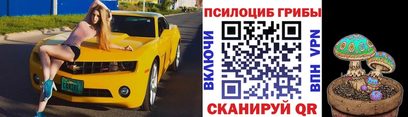 Галлюциногенные грибы Psilocybe  Берёзовка 